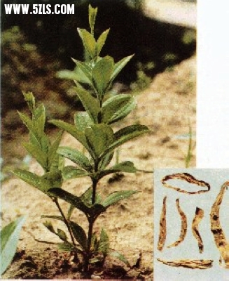20120627100745597.jpg