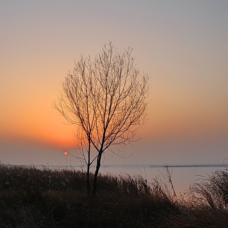 ht 025.JPG