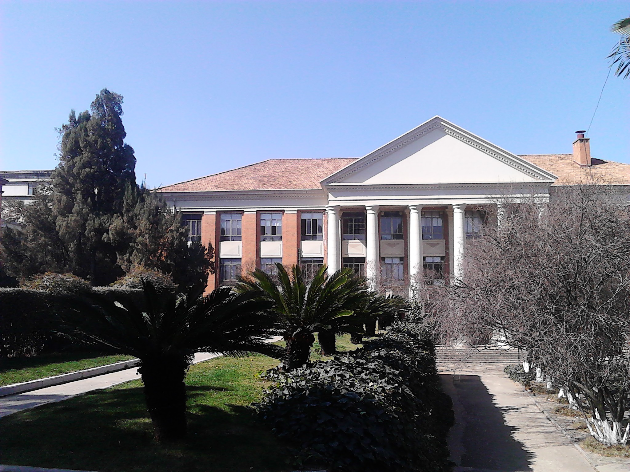 IMG_20130215_112540.jpg