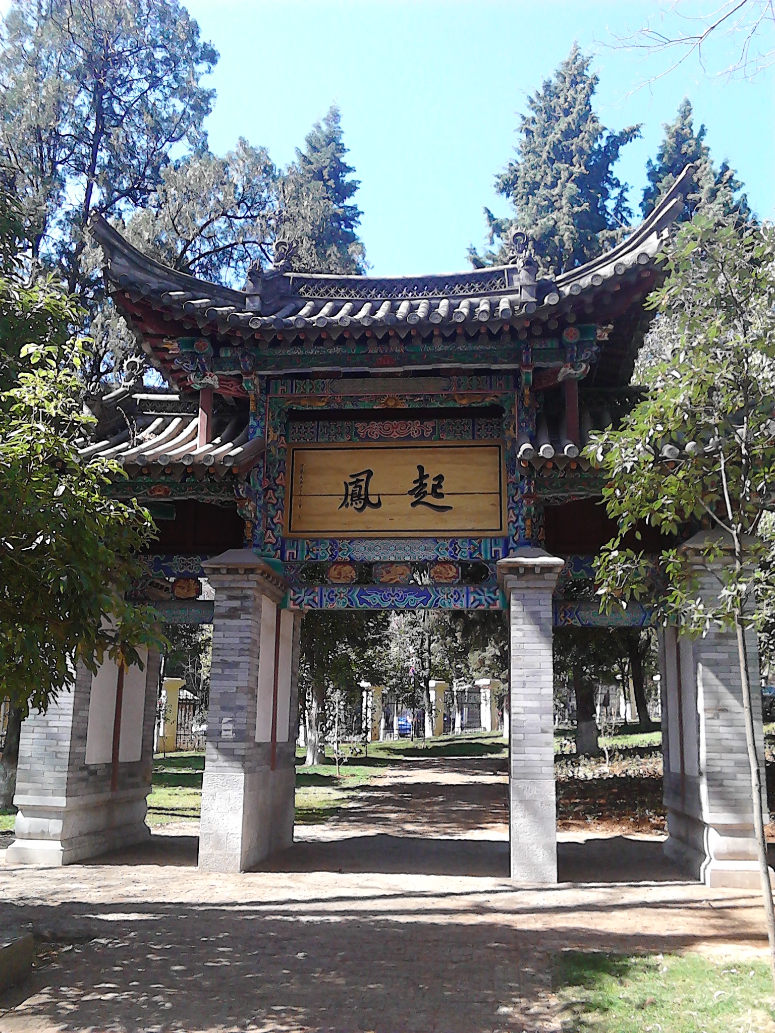 IMG_20130215_120101.jpg