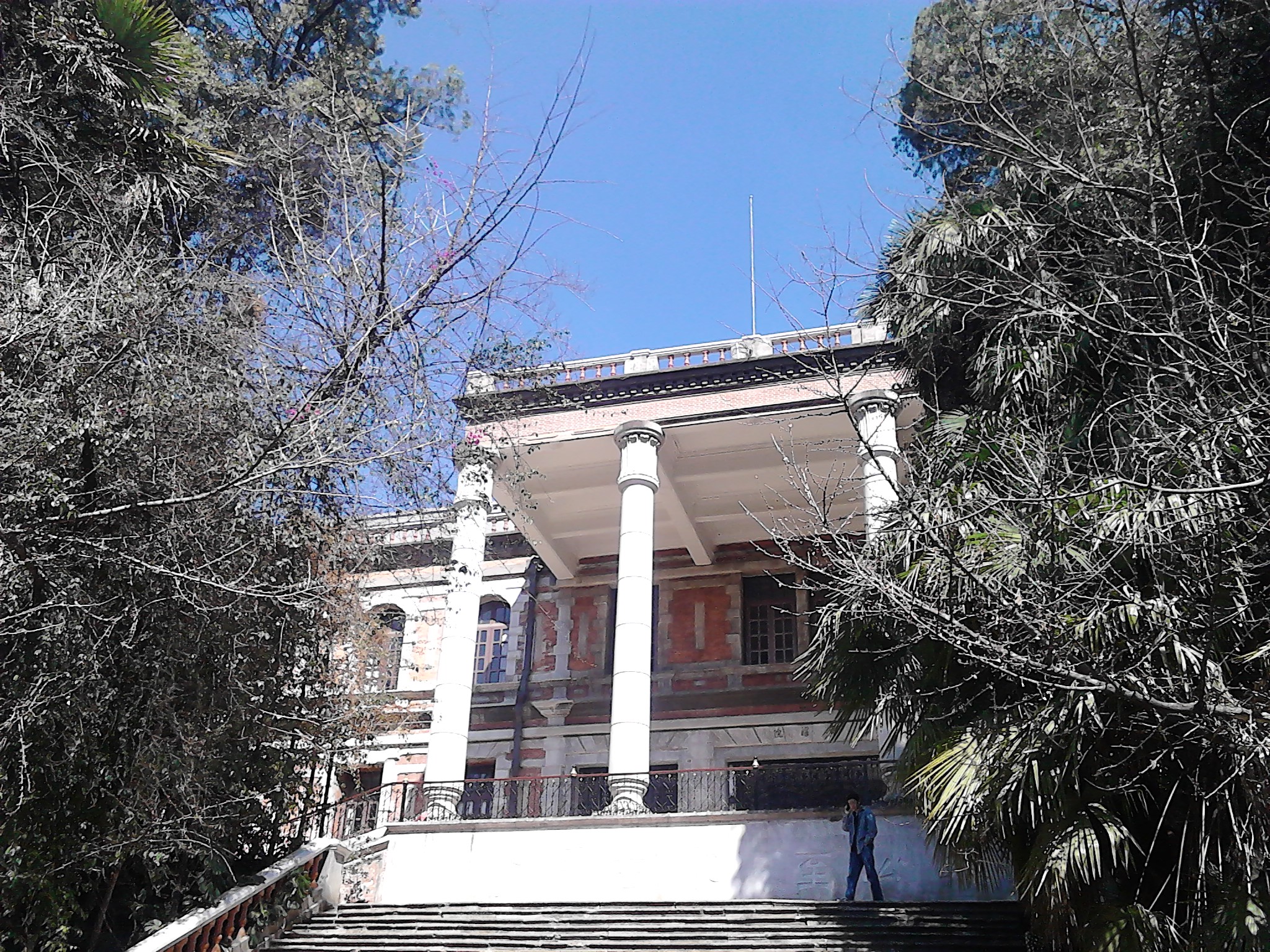 IMG_20130215_115626.jpg