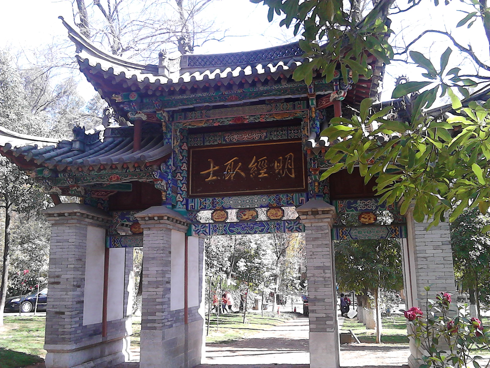 IMG_20130215_120144.jpg