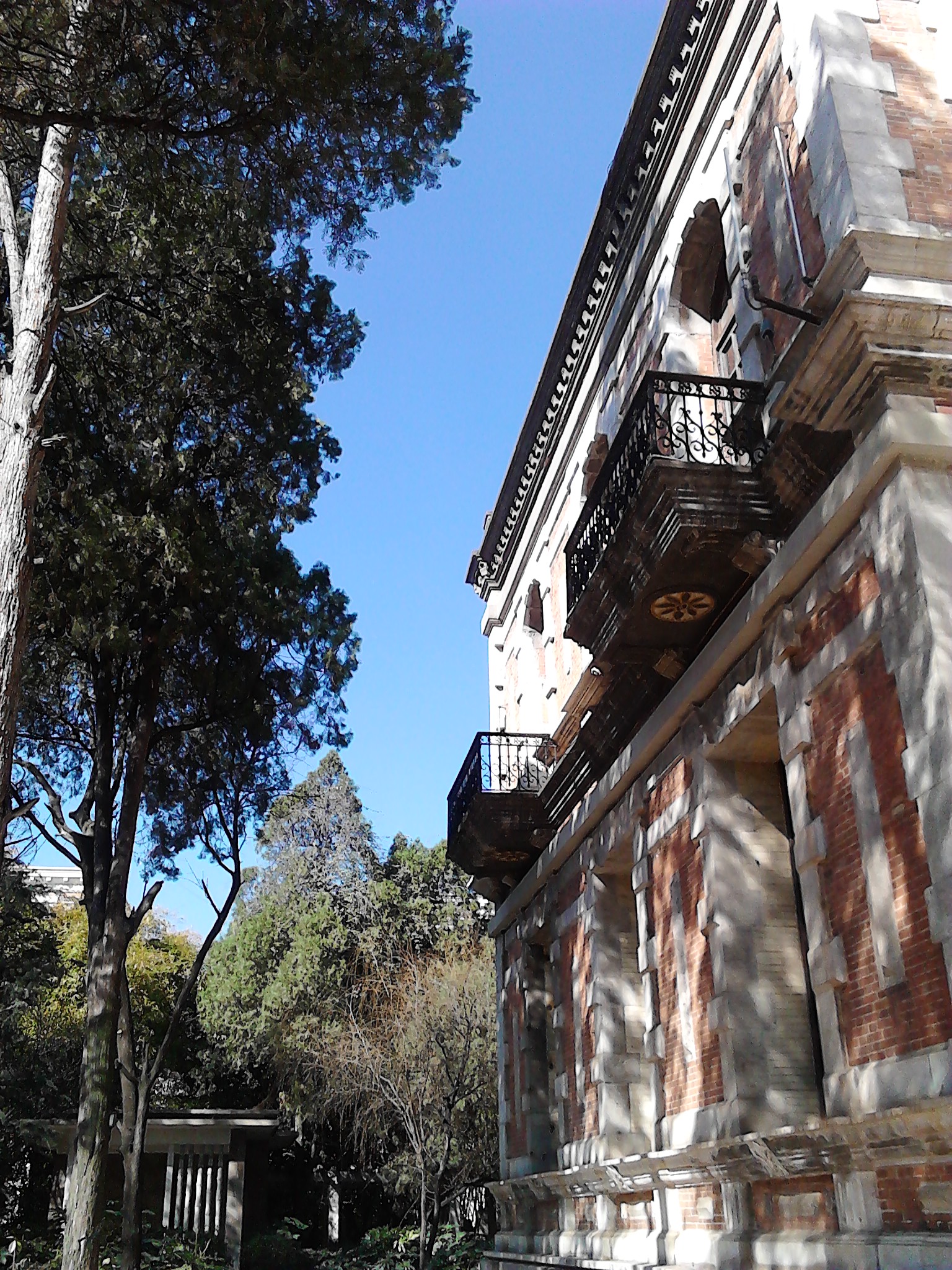 IMG_20130215_104617.jpg