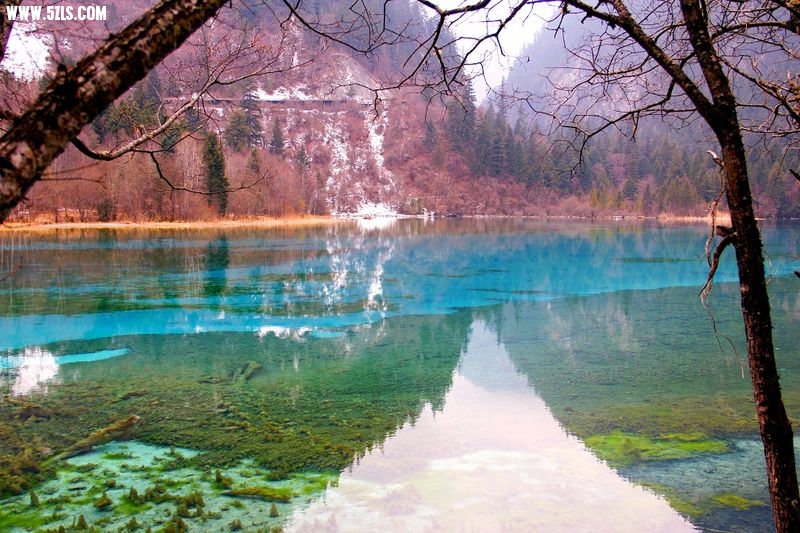 _MG_6018.jpg