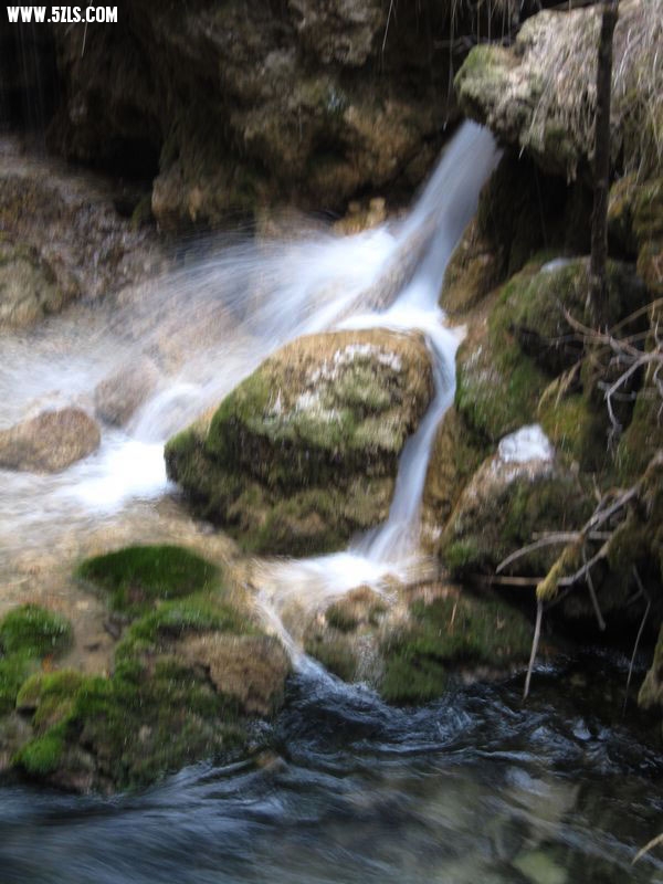 IMG_0261.JPG