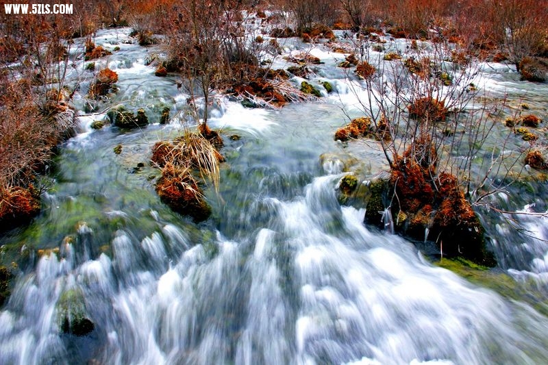 _MG_6162.jpg