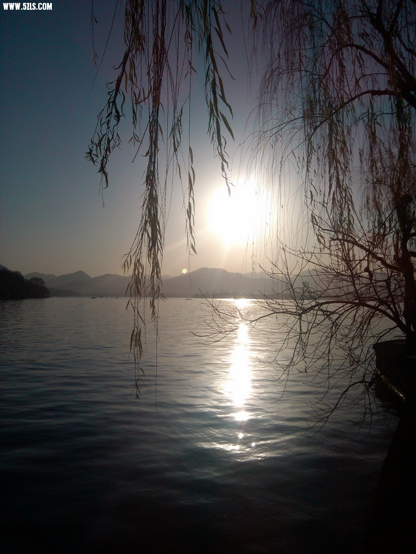 IMG_20130101_161556.jpg