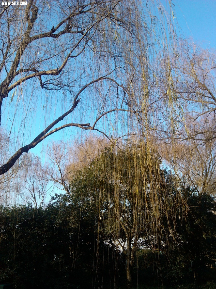 IMG_20130101_155224.jpg