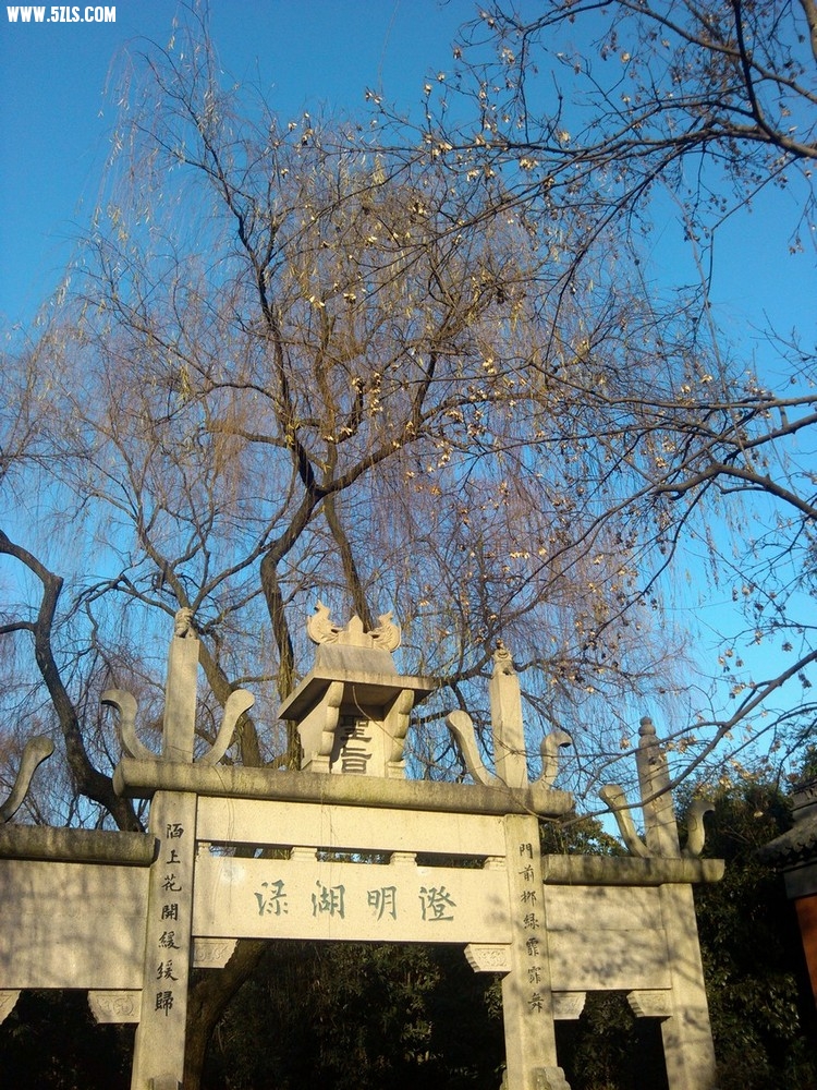 IMG_20130101_155326.jpg