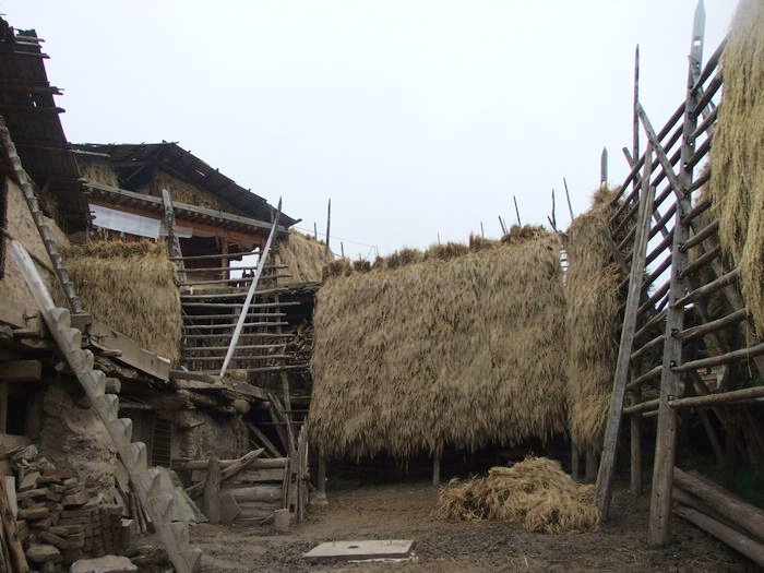 DSCF4752.JPG