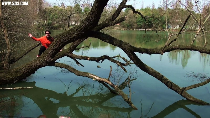һ2һһ0130303133601(1).jpg