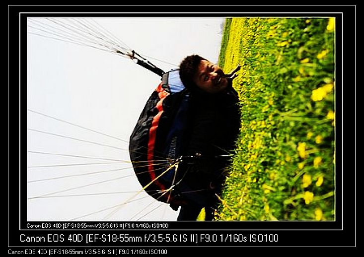Ƭ 081.jpg