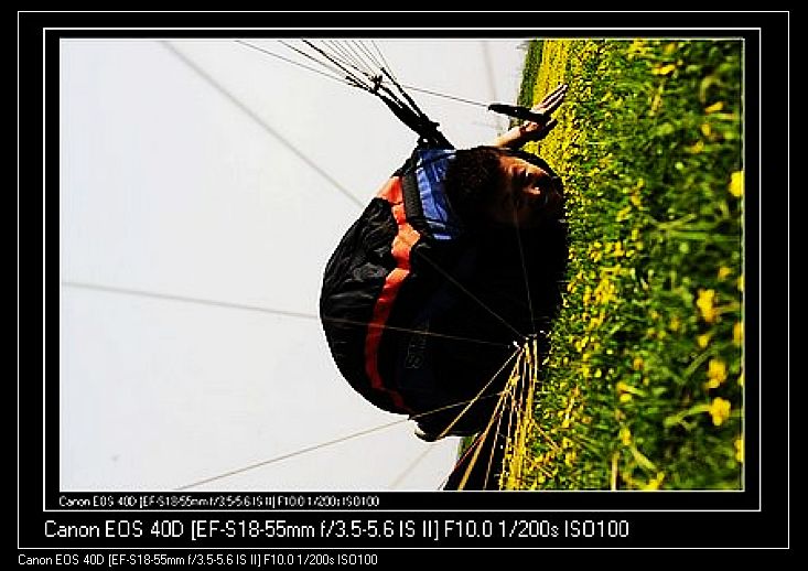 Ƭ 082.jpg
