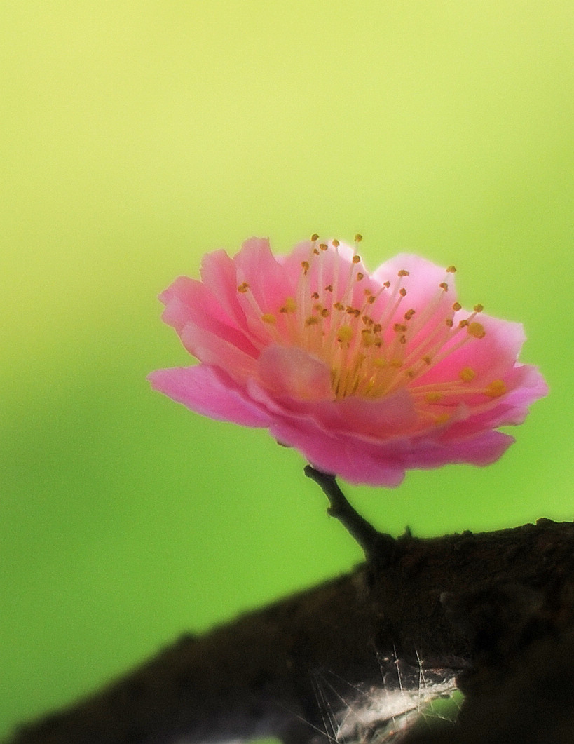 DSC_00941.jpg