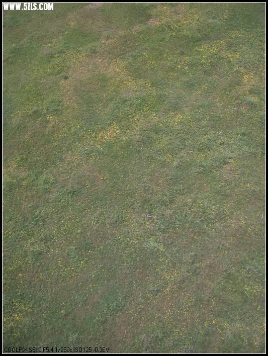DSCN0986.jpg