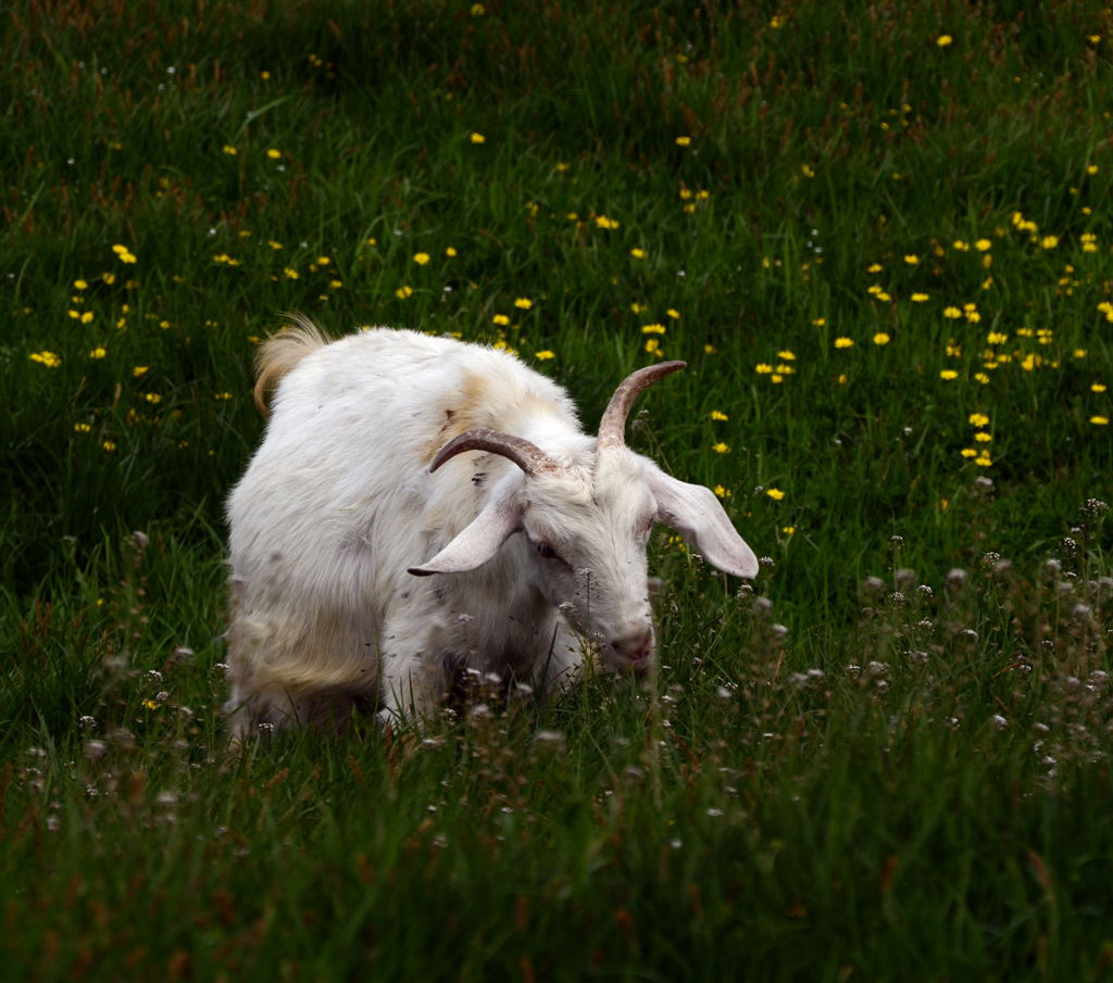 DSC_5976__.jpg