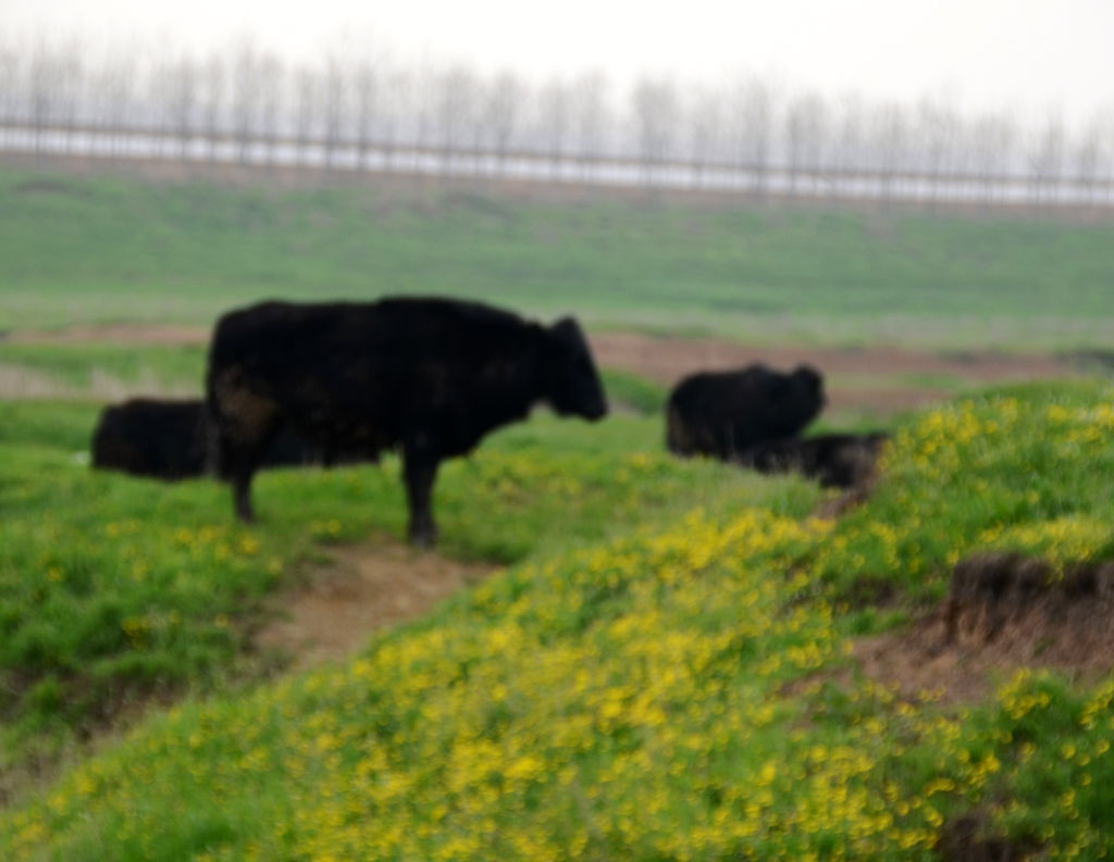 DSC_6028_.jpg