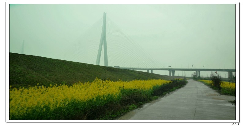 80015_Ŀѹ.jpg