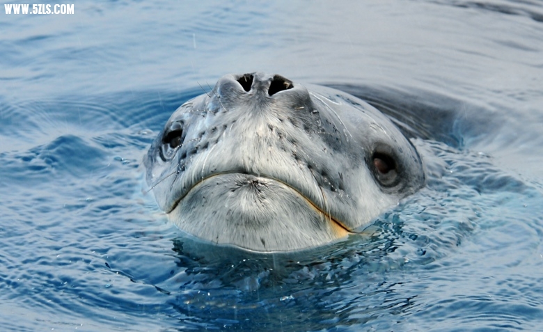 ˮ1.jpg