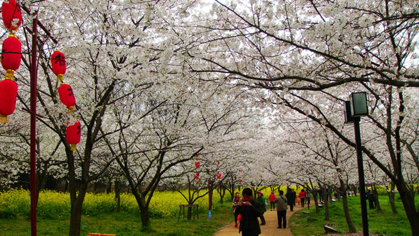 DSC09480_.jpg
