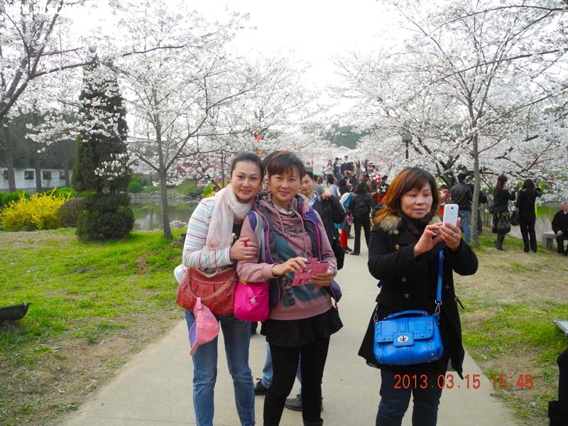 DSCN4862.JPG