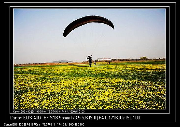 Ƭ 045.jpg