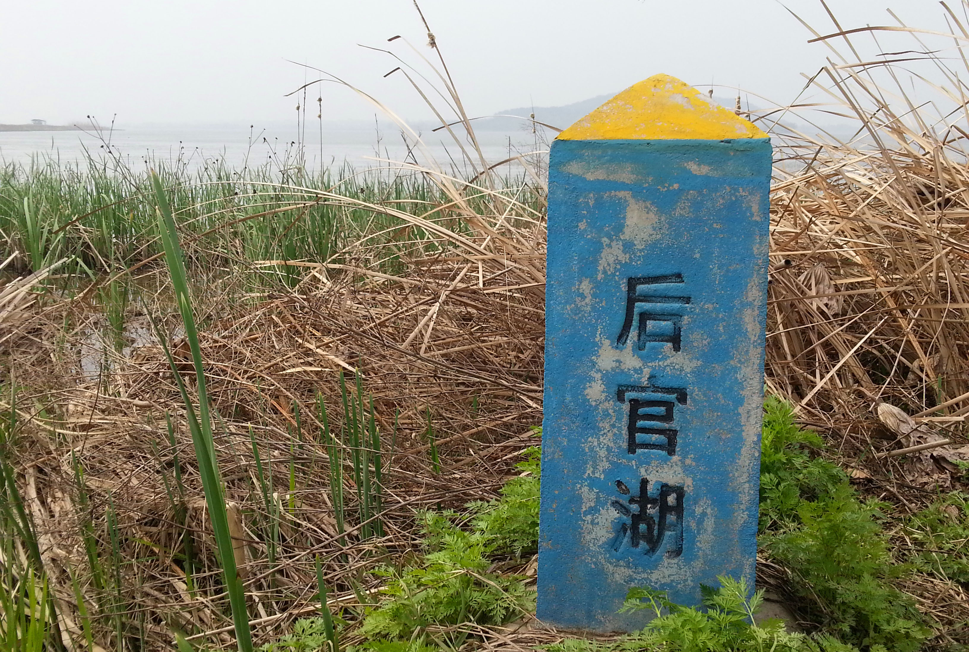 20130324_114316.jpg