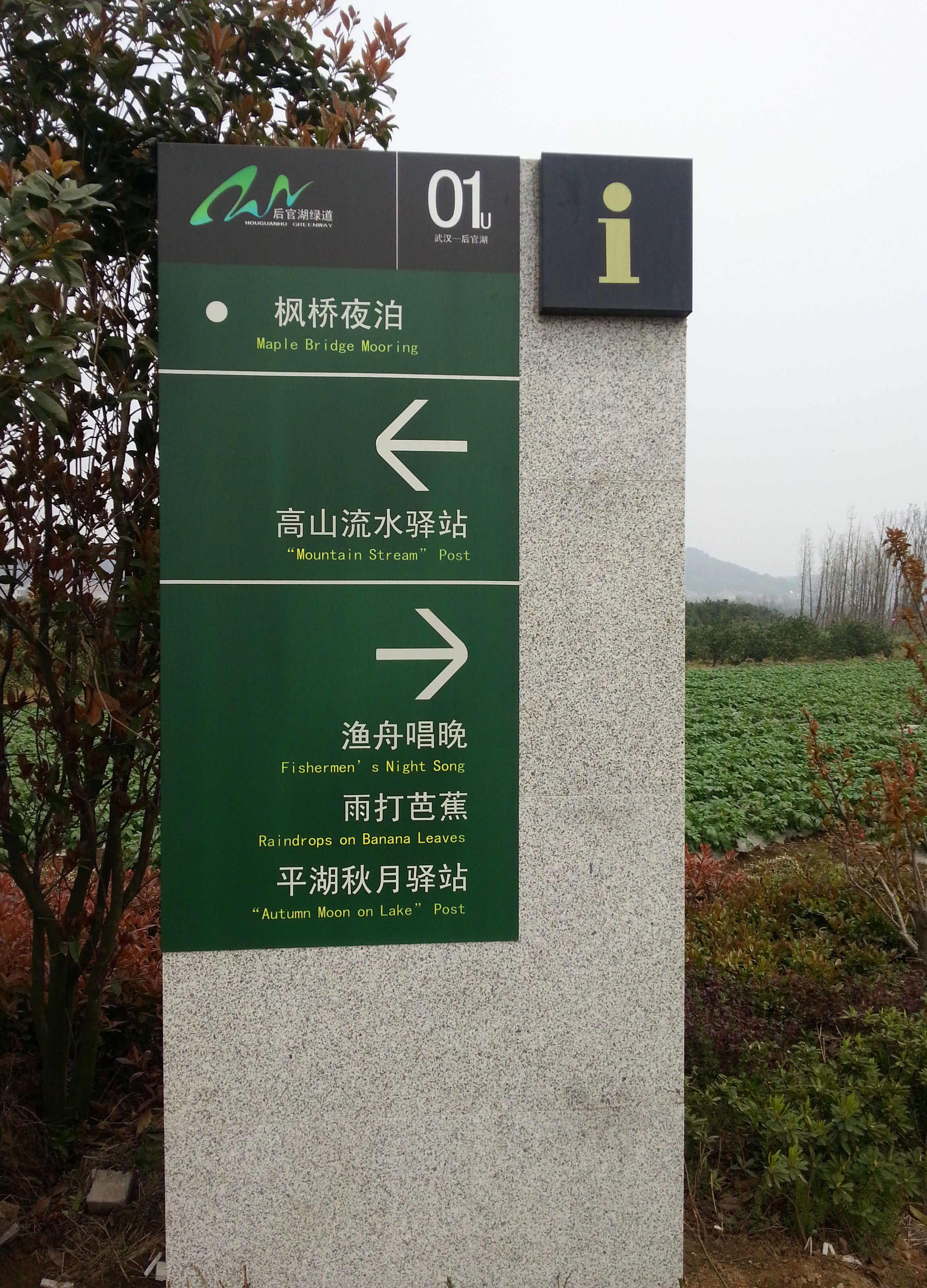 20130324_124128.jpg