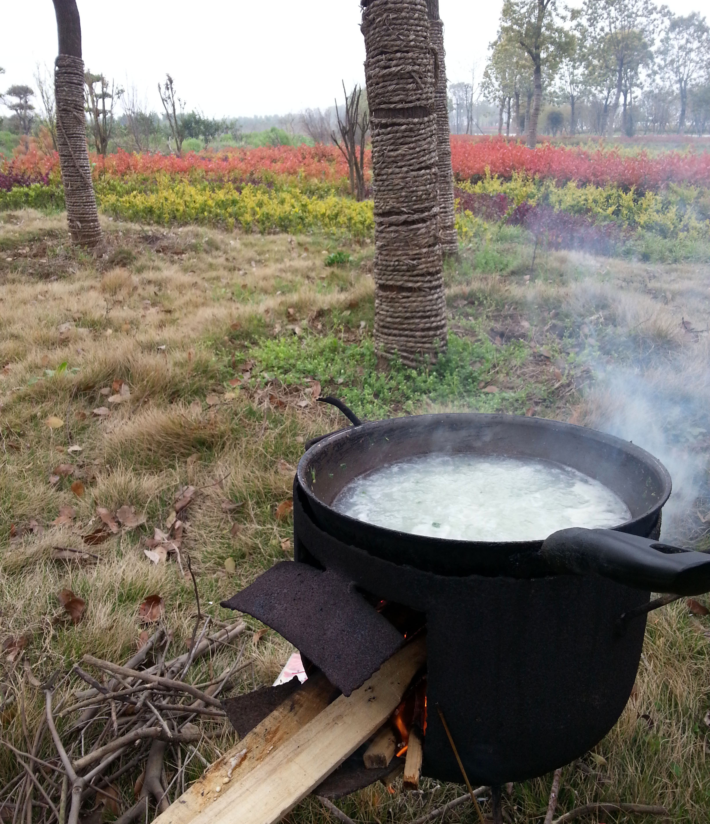 20130324_134935.jpg