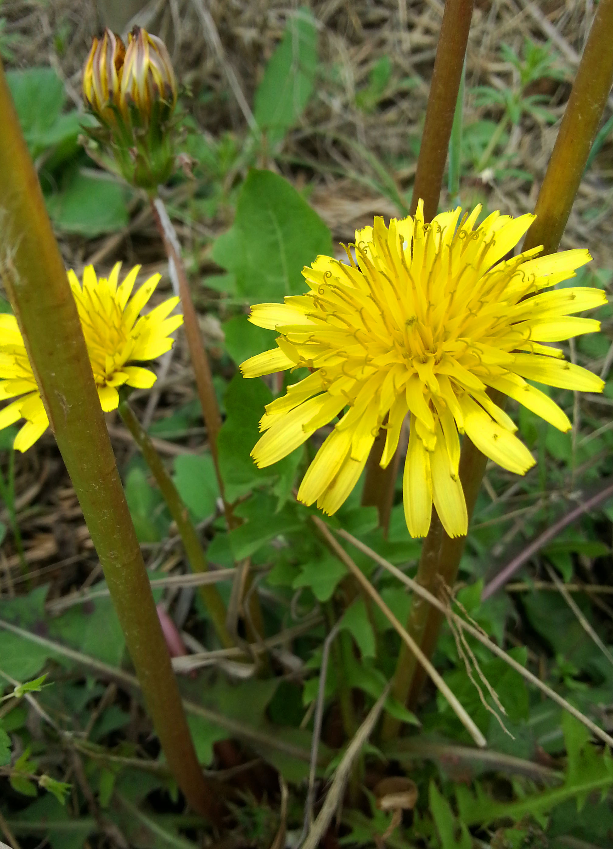 20130324_123111.jpg