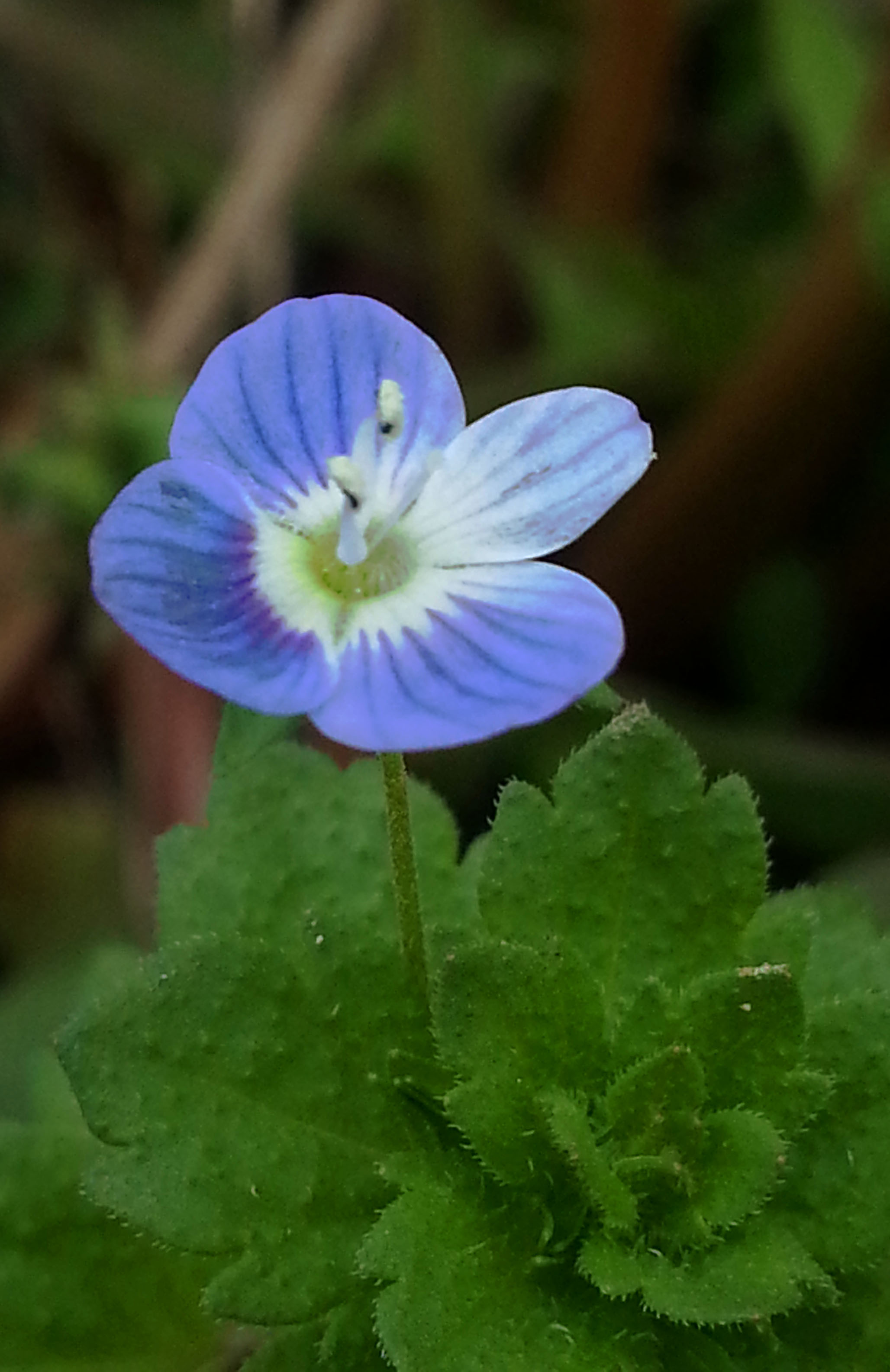 20130324_123329.jpg