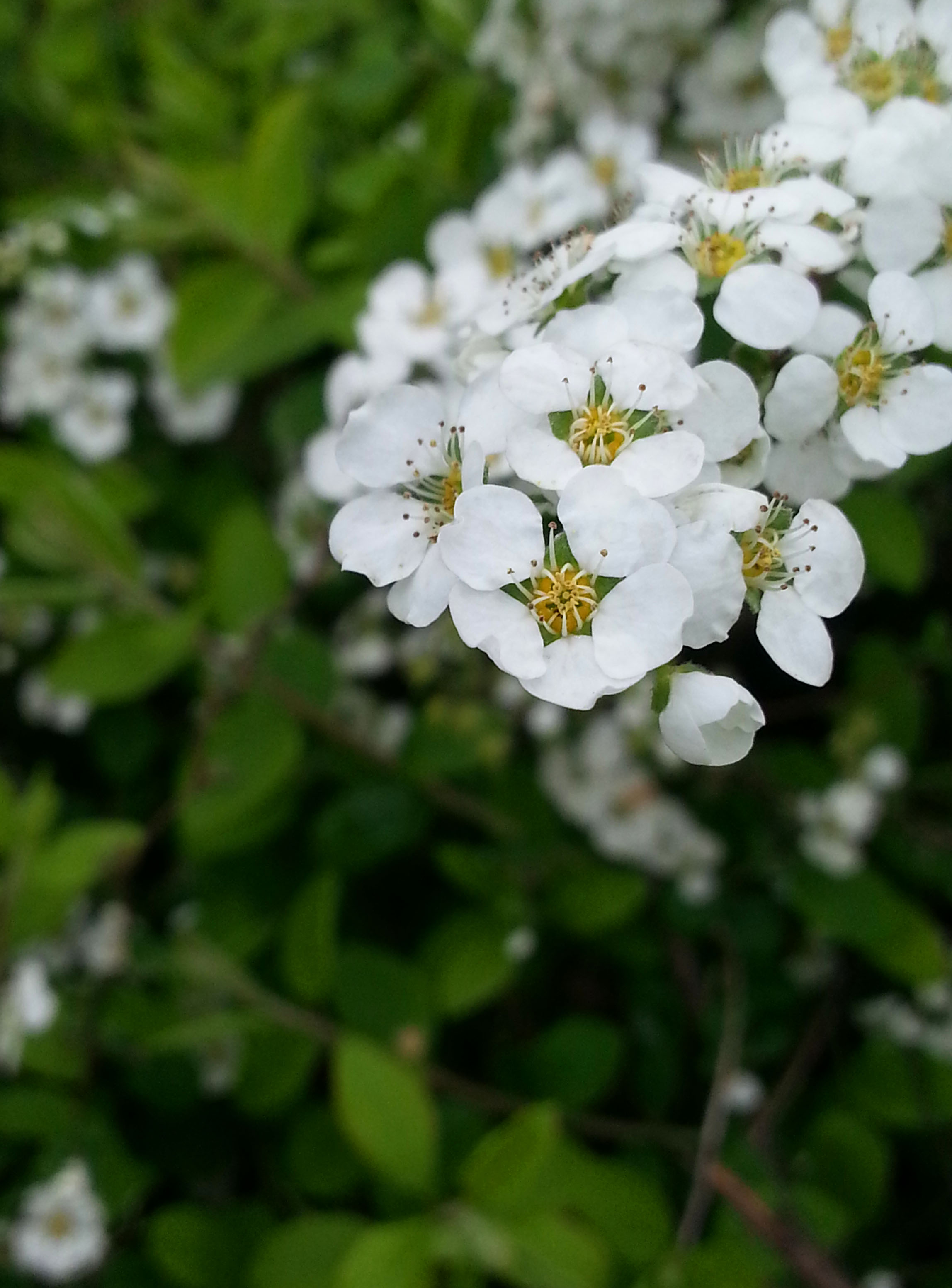 20130324_145534.jpg