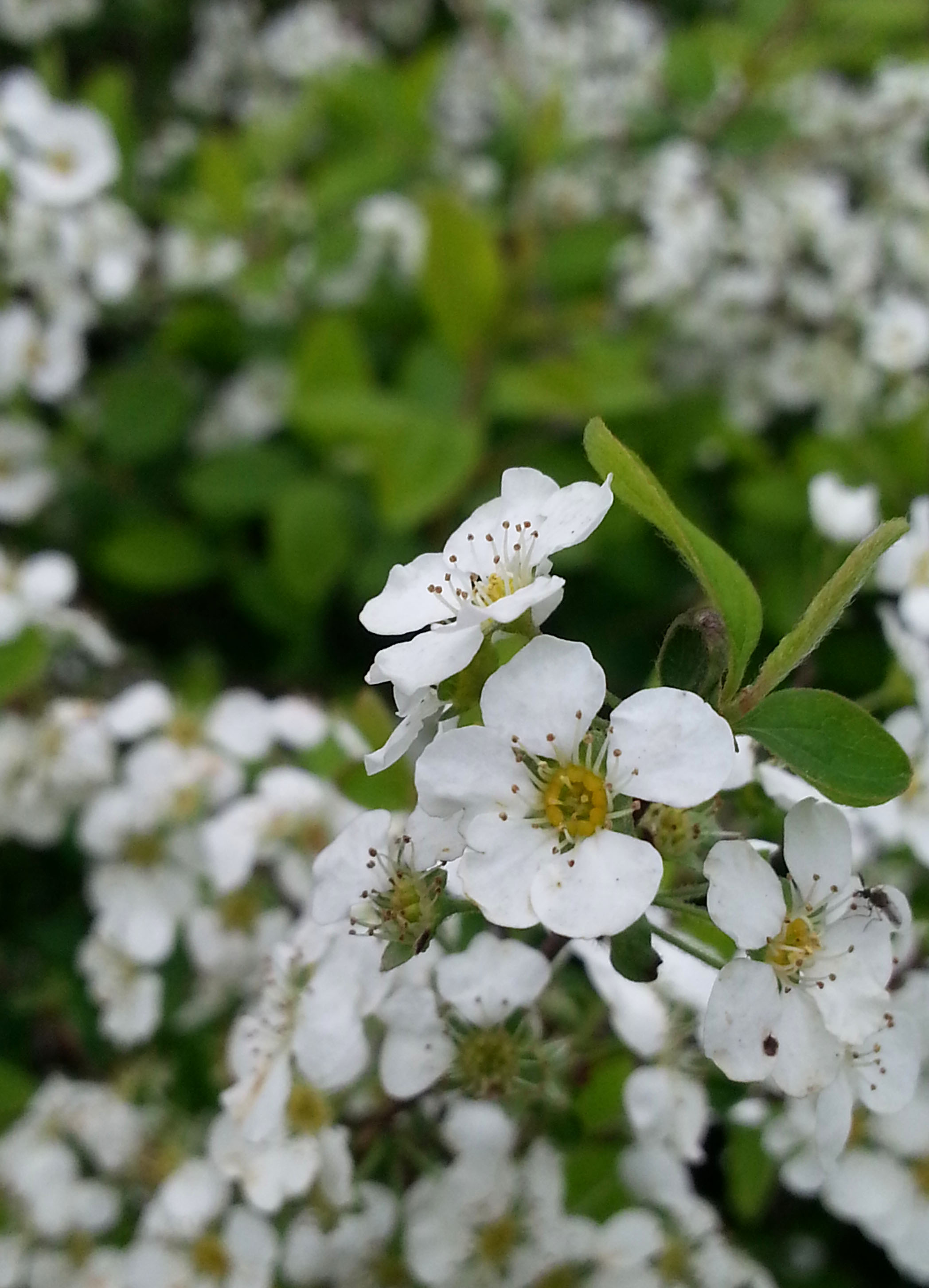 20130324_145551.jpg