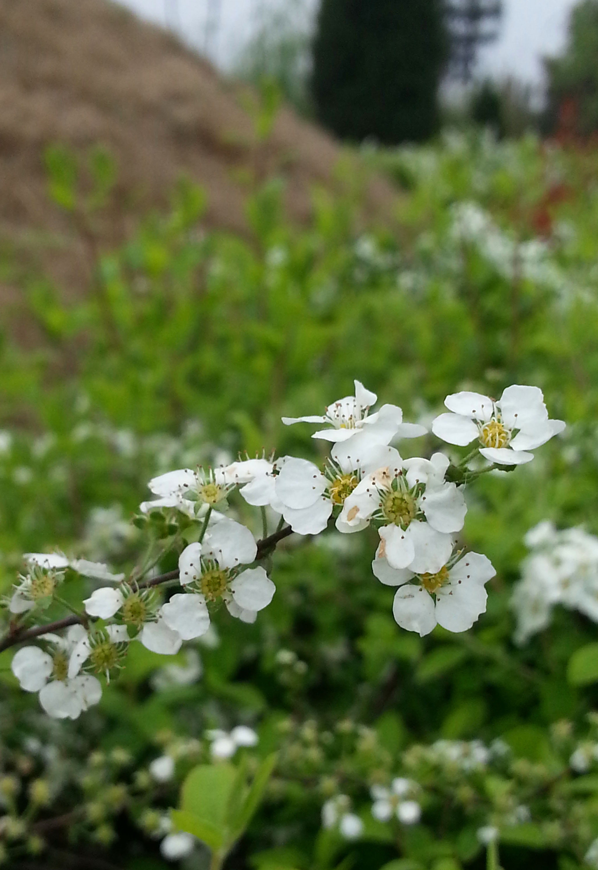 20130324_145643.jpg