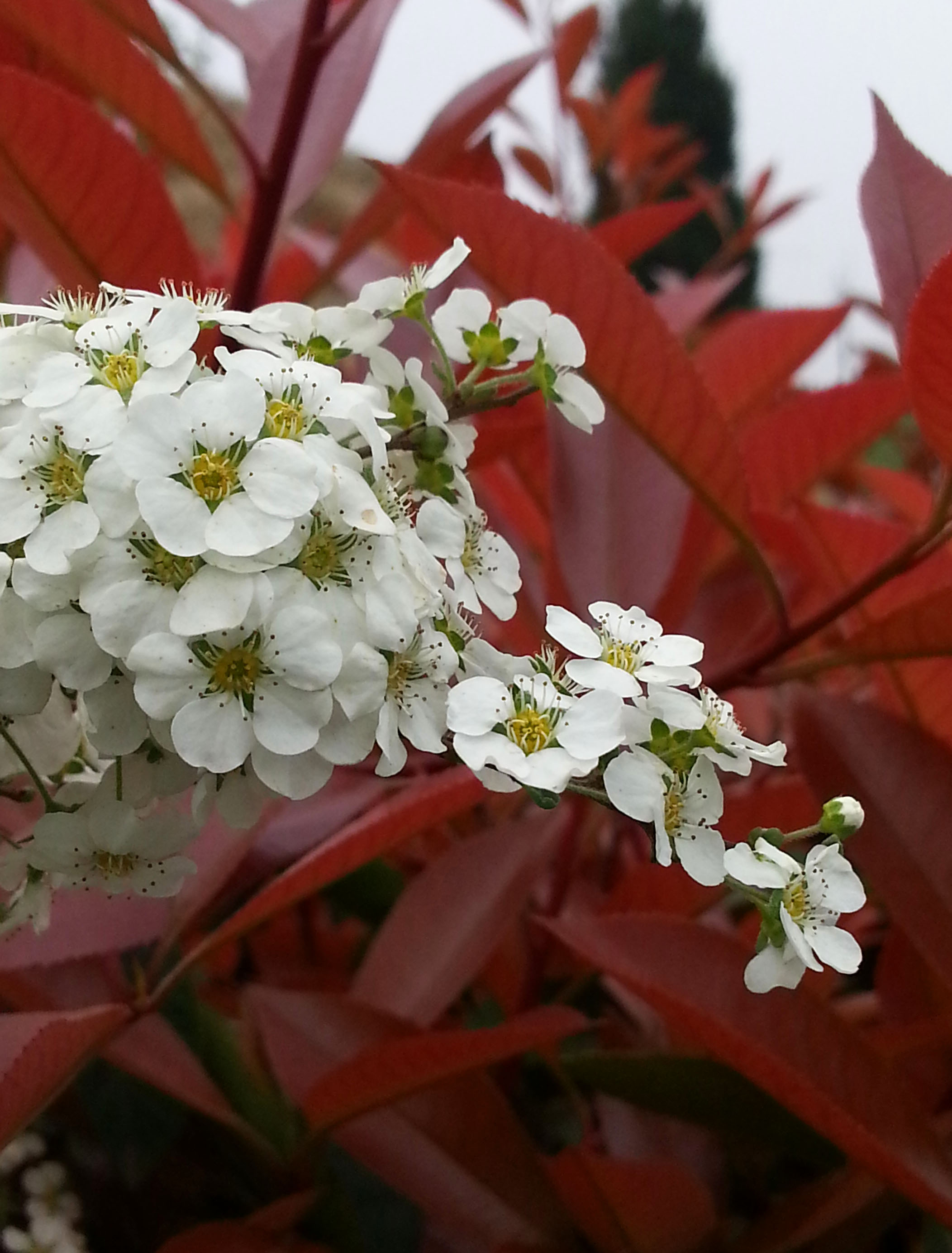 20130324_145738.jpg