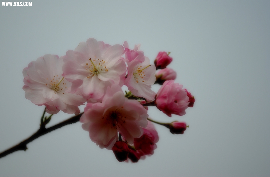 DSC_0230.jpg