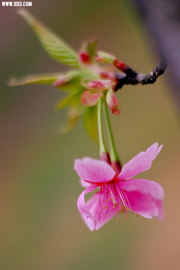 DSC_00262.jpg