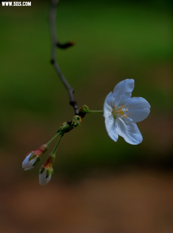 DSC_002123.jpg