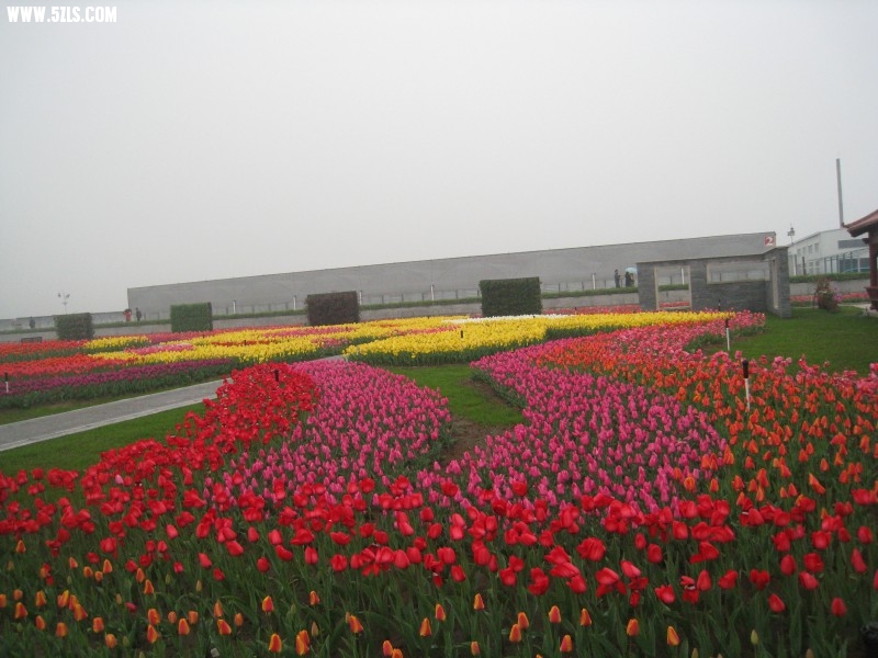 conew_img_7517.jpg
