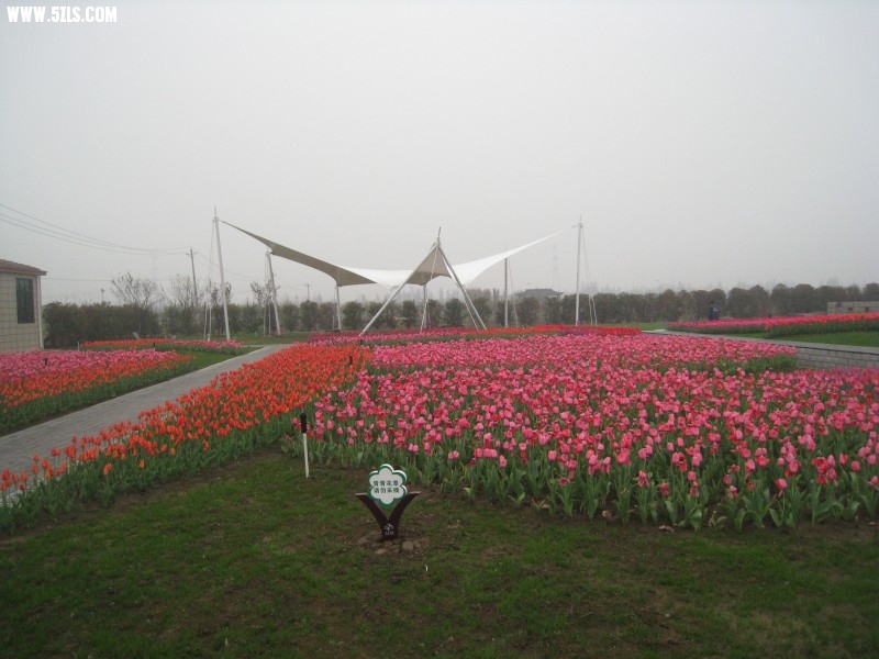 conew_img_7519.jpg