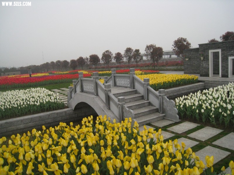 conew_img_7536.jpg