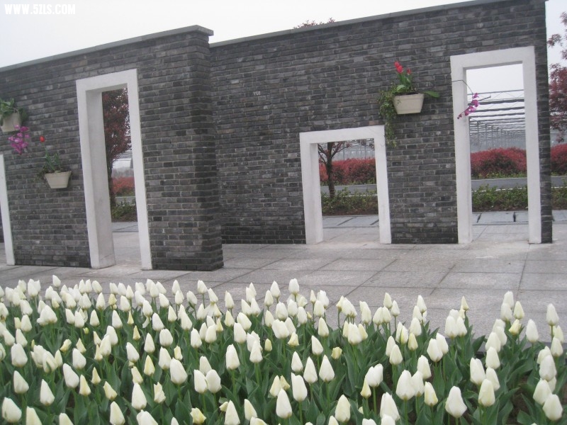 conew_img_7539.jpg