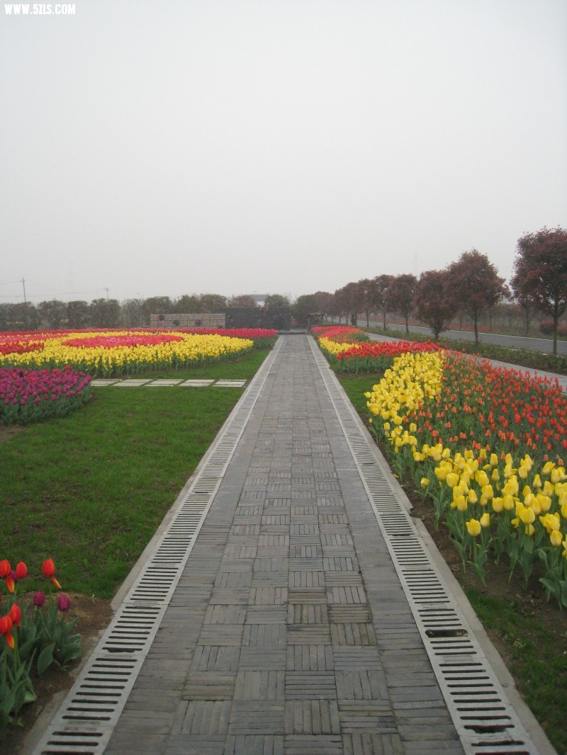 conew_img_7548.jpg
