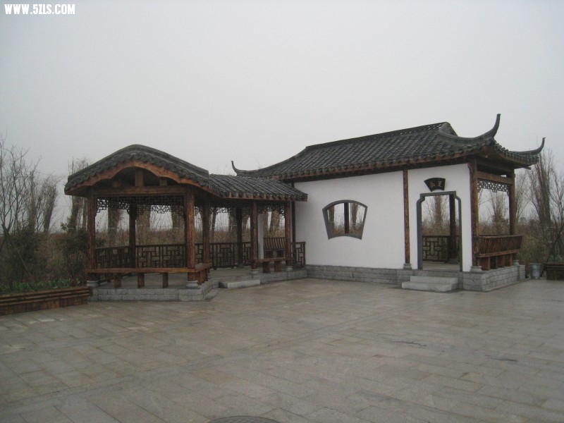 conew_img_7563.jpg