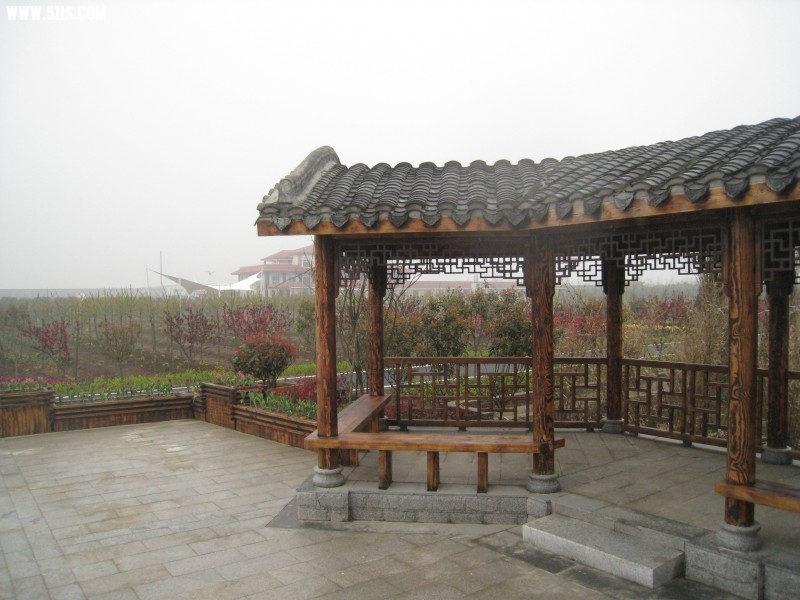 conew_img_7565.jpg