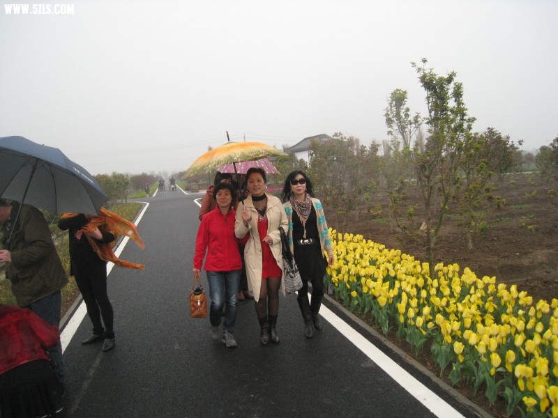 conew_img_7568.jpg