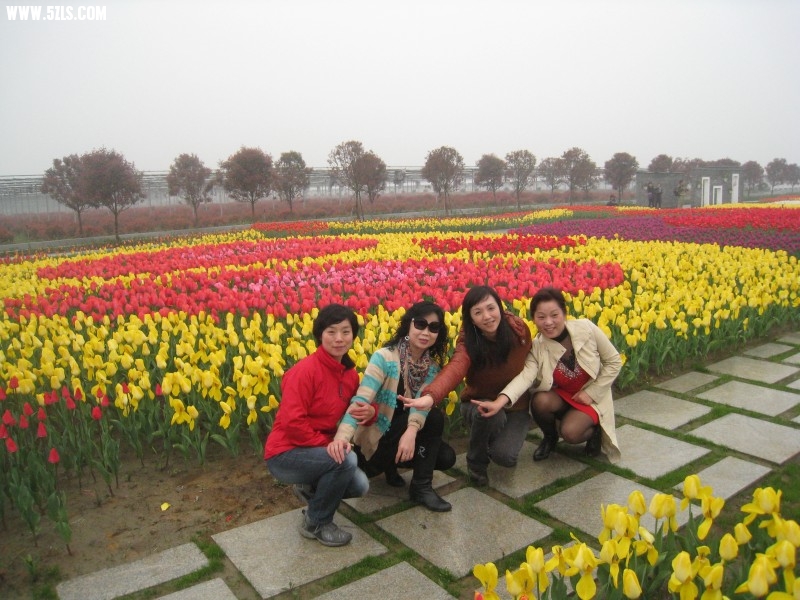 conew_img_7592.jpg