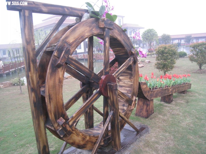 conew_img_7631.jpg