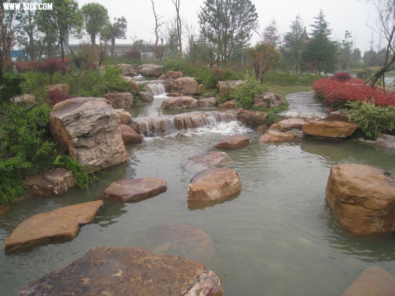 conew_img_7641.jpg