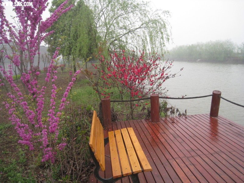 conew_img_7649.jpg